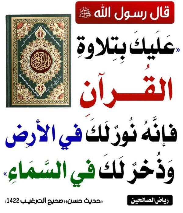 تحفيظ القران وأحكام تلاوة وتعليم علوم شرعية ومقامات صوتيه وعلوم شرعية وتأسيس اطفال لغة عربية ونور البيان